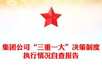 集团公司“三重一大”决策制度执行情况自查报告