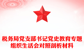 税务局党支部书记党史教育专题组织生活会对照剖析材料