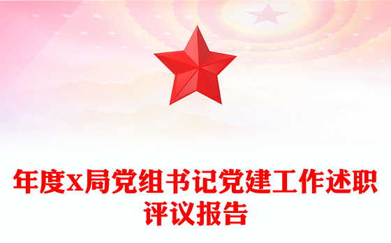年度X局党组书记党建工作述职评议报告