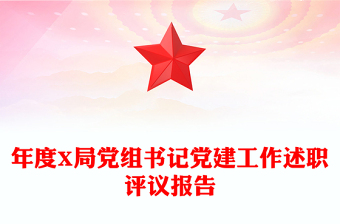 年度X局党组书记党建工作述职评议报告