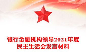 银行金融机构领导2021年度民主生活会发言材料