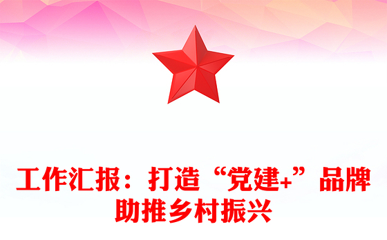 工作汇报：打造“党建+”品牌助推乡村振兴