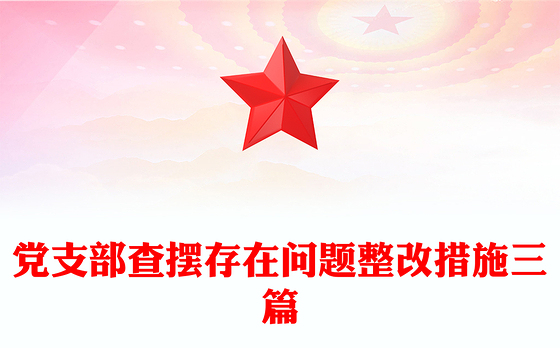 党支部查摆存在问题整改措施三篇