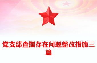 党支部查摆存在问题整改措施三篇