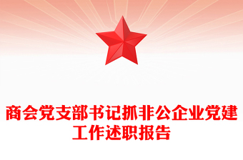 商会党支部书记抓非公企业党建工作述职报告