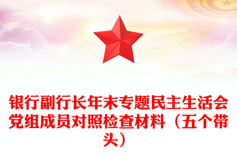 银行副行长年末专题民主生活会党组成员对照检查材料（五个带头）