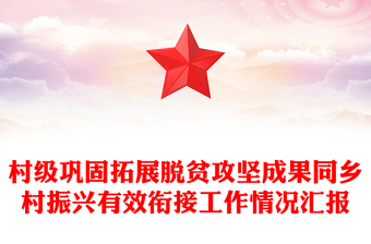 村级巩固拓展脱贫攻坚成果同乡村振兴有效衔接工作情况汇报