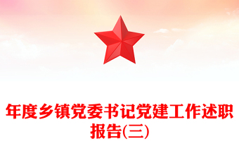 年度乡镇党委书记党建工作述职报告(三)