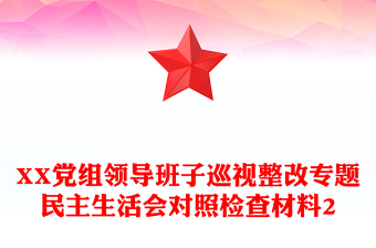 XX党组领导班子巡视整改专题民主生活会对照检查材料2