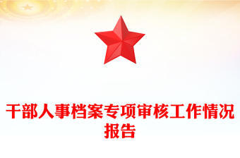 干部人事档案专项审核工作情况报告