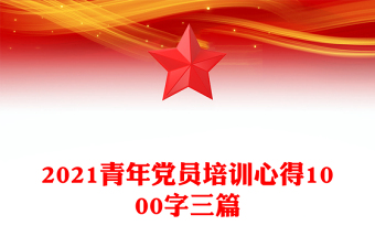 2021青年党员培训心得1000字三篇