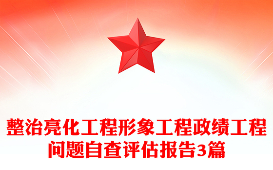 整治亮化工程形象工程政绩工程问题自查评估报告3篇