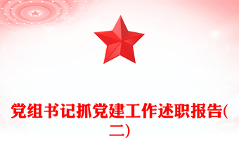 党组书记抓党建工作述职报告(二)