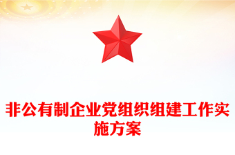 非公有制企业党组织组建工作实施方案