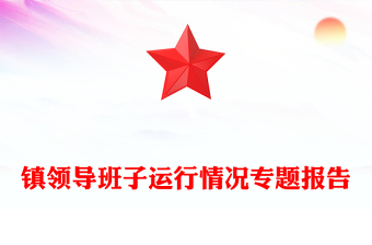 镇领导班子运行情况专题报告