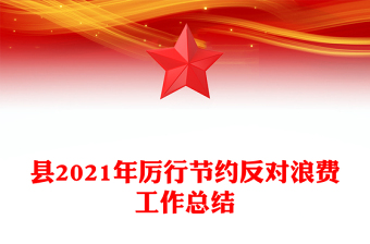 县2021年厉行节约反对浪费工作总结
