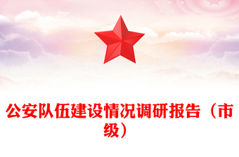 公安队伍建设情况调研报告（市级）