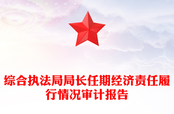 综合执法局局长任期经济责任履行情况审计报告