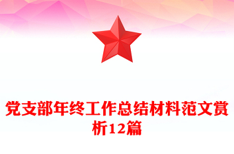 党支部年终工作总结材料范文赏析12篇
