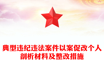 典型违纪违法案件以案促改个人剖析材料及整改措施