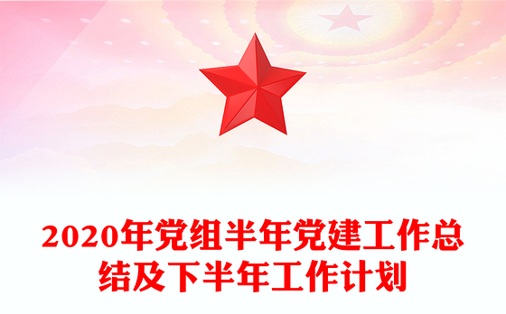 2020年党组半年党建工作总结及下半年工作计划