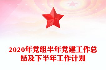 2020年党组半年党建工作总结及下半年工作计划
