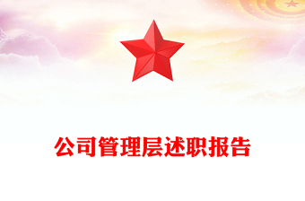 公司管理层述职报告