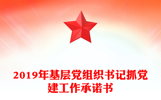 2019年基层党组织书记抓党建工作承诺书