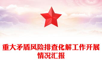 重大矛盾风险排查化解工作开展情况汇报