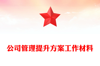 公司管理提升方案工作材料