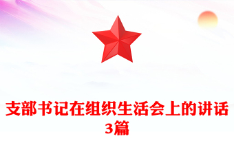 支部书记在组织生活会上的讲话3篇