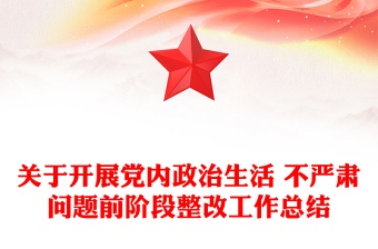 关于开展党内政治生活 不严肃问题前阶段整改工作总结