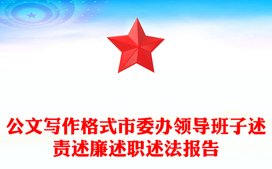 公文写作格式市委办领导班子述责述廉述职述法报告