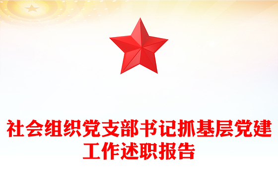社会组织党支部书记抓基层党建工作述职报告