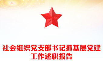 社会组织党支部书记抓基层党建工作述职报告