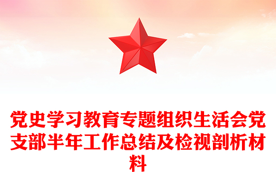 党史学习教育专题组织生活会党支部半年工作总结及检视剖析材料