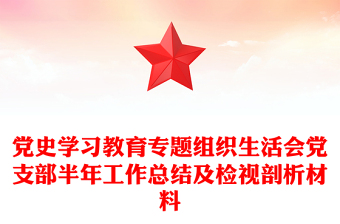 党史学习教育专题组织生活会党支部半年工作总结及检视剖析材料