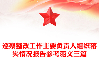 巡察整改工作主要负责人组织落实情况报告参考范文三篇