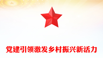党建引领激发乡村振兴新活力