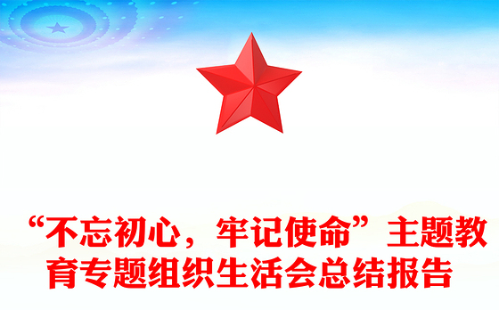 “不忘初心，牢记使命”主题教育专题组织生活会总结报告