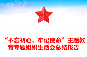 “不忘初心，牢记使命”主题教育专题组织生活会总结报告
