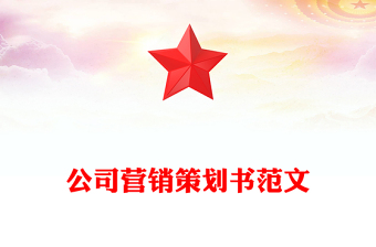 公司营销策划书范文