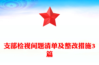 支部检视问题清单及整改措施3篇