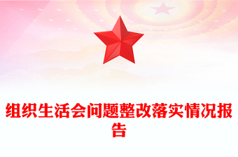 组织生活会问题整改落实情况报告