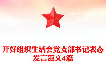 开好组织生活会党支部书记表态发言范文4篇