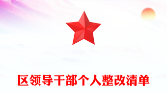 区领导干部个人整改清单