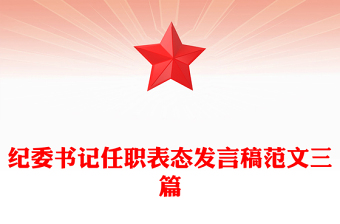 纪委书记任职表态发言稿范文三篇