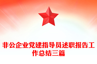 非公企业党建指导员述职报告工作总结三篇