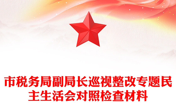 市税务局副局长巡视整改专题民主生活会对照检查材料