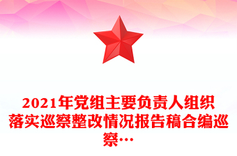 整改落实情况报告